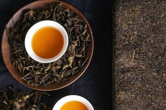 什么人不能喝茯茶