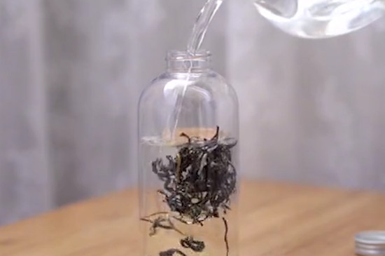 冷泡茶怎麼泡
