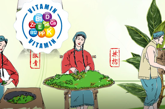 绿茶包括哪些茶叶