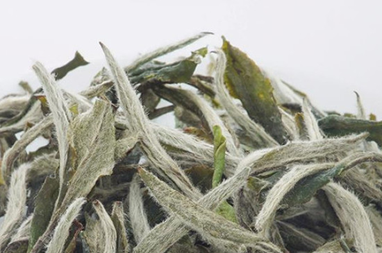 福鼎白茶是发酵茶吗
