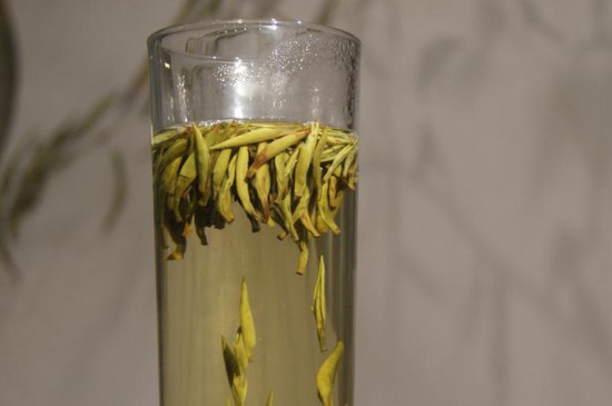 君山銀針是什麼茶