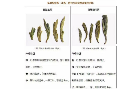 西湖龍井好壞鑑別有圖，龍井茶等級劃分標準圖片