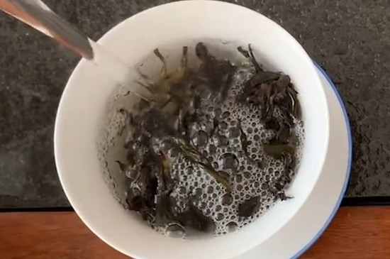 鴨屎香茶怎麼沖泡