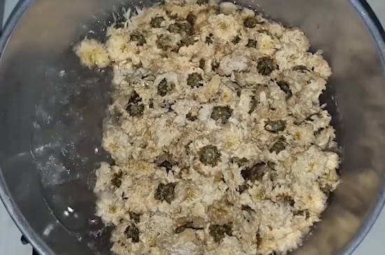 红茶和菊花能一起泡吗