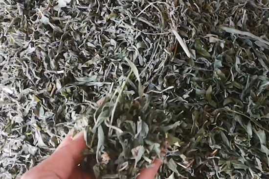 羅布麻茶的作用與功效
