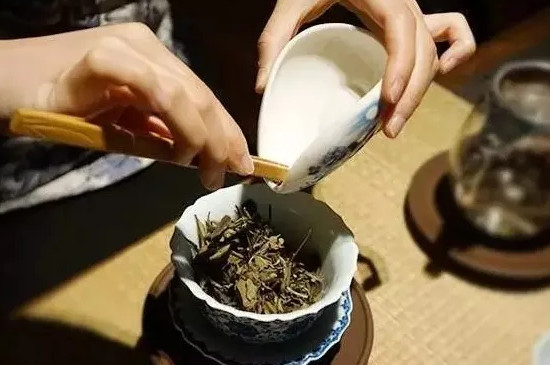 福鼎白茶冲泡方法