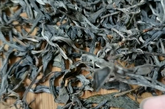 普洱茶怎麼沖泡最好