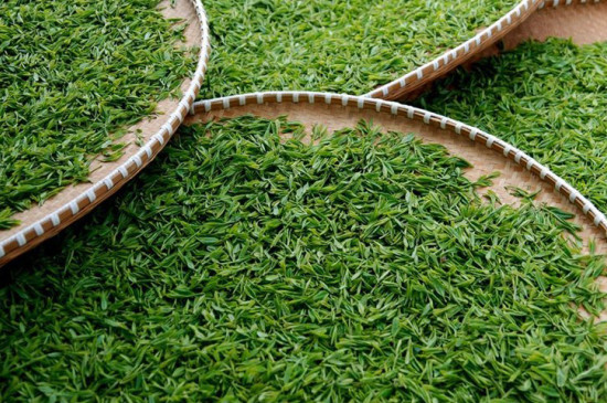 西湖龍井是綠茶還是紅茶