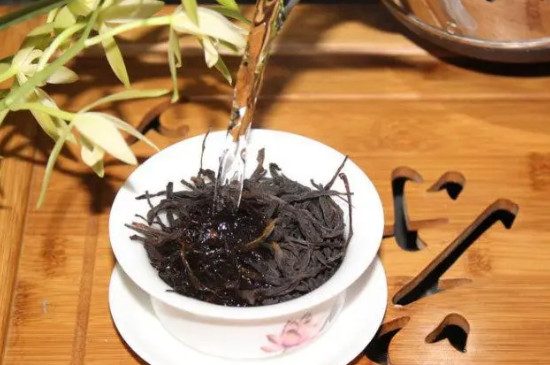 凤凰单丛怎么泡