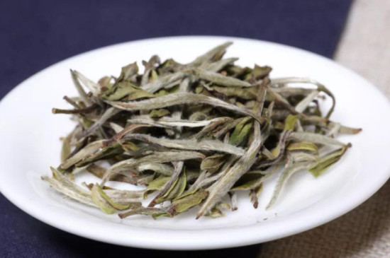 白茶怎么泡才正确方法