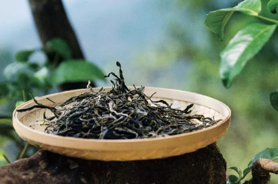 野生茶屬於什麼茶