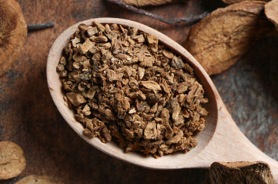 牛蒡茶可以天天喝吗