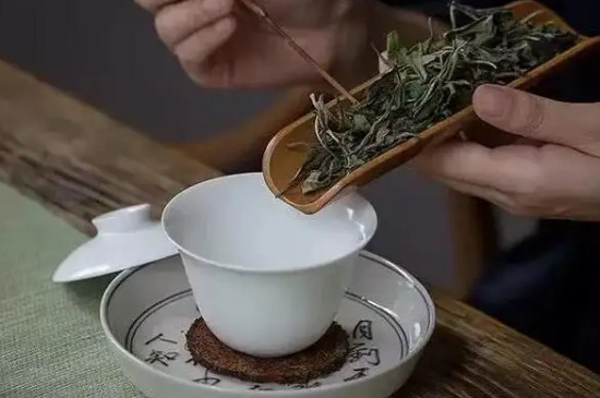 贡眉福鼎白茶怎么泡