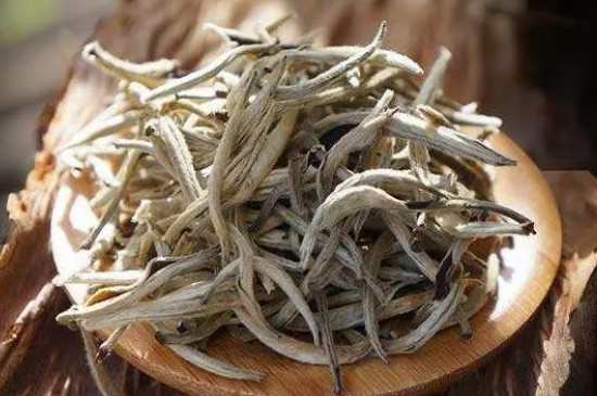 福鼎白茶和雲南白茶哪個好