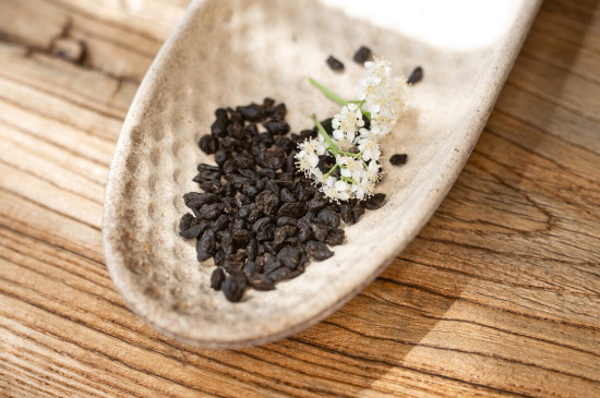 碎银子茶怎么分辨好坏
