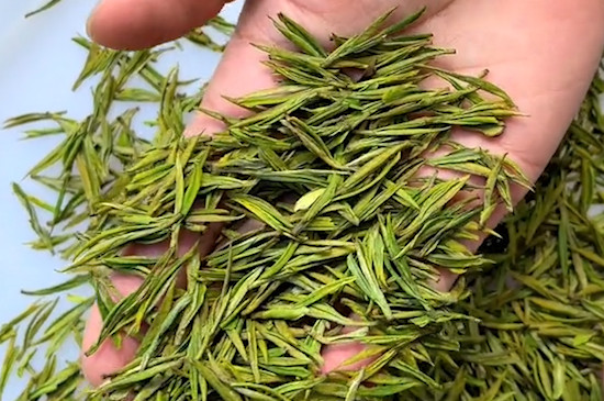 安吉白茶的种类 安吉白茶的种类主分为四类