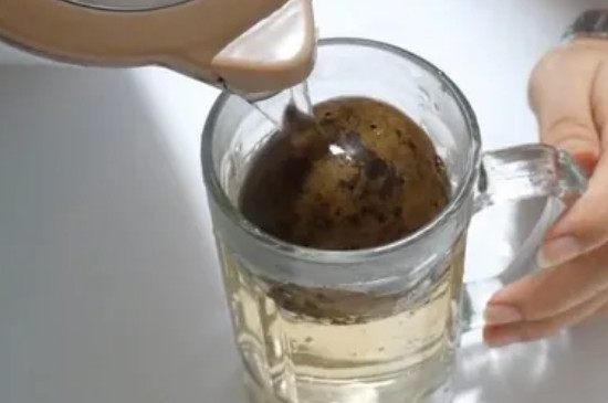 新鲜罗汉果泡水的正确方法