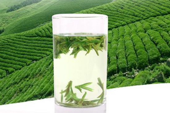 泡龙井茶的水温多少度