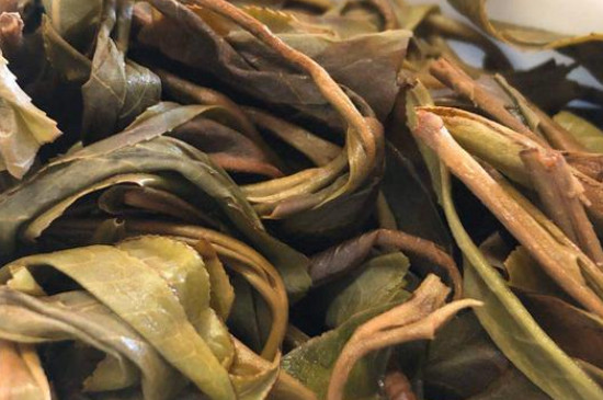 困鹿山古树普洱茶特点