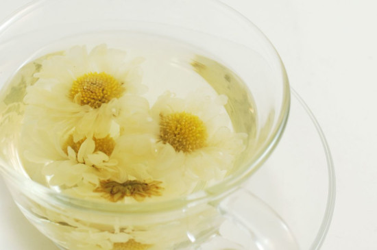 夏季上午適合喝什麼茶