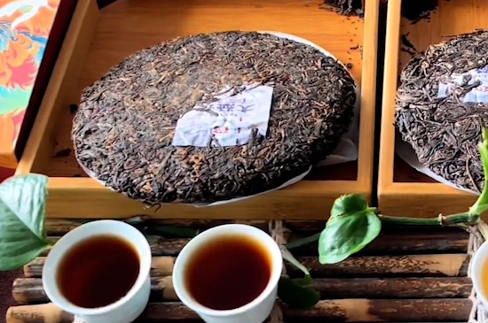 大树茶和古树茶的区别是什么？