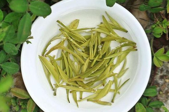 太湖碧螺春屬於什麼茶類
