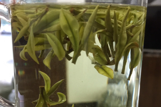安吉白茶屬於什麼茶類