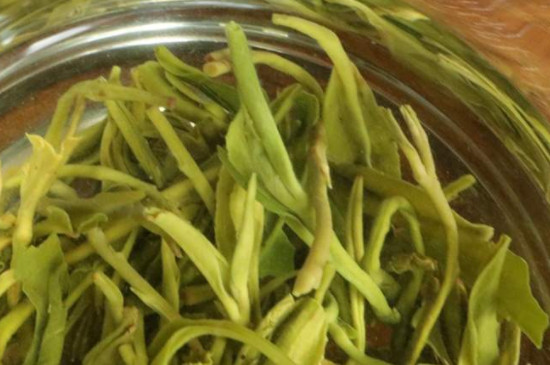 碧螺春屬於綠茶嗎