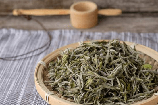 白茶是什麼茶