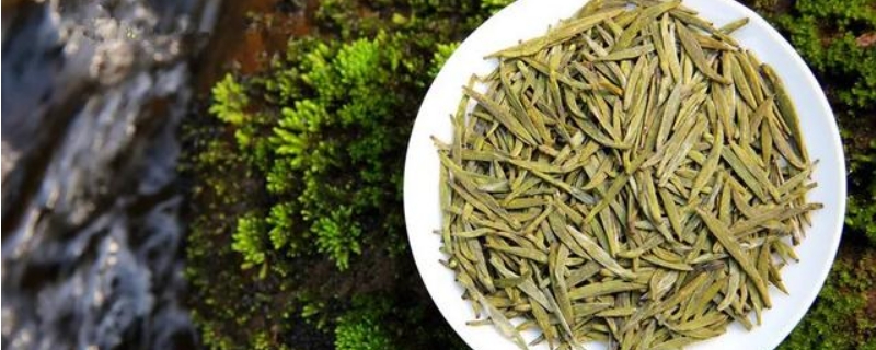 君山銀針是不是綠茶
