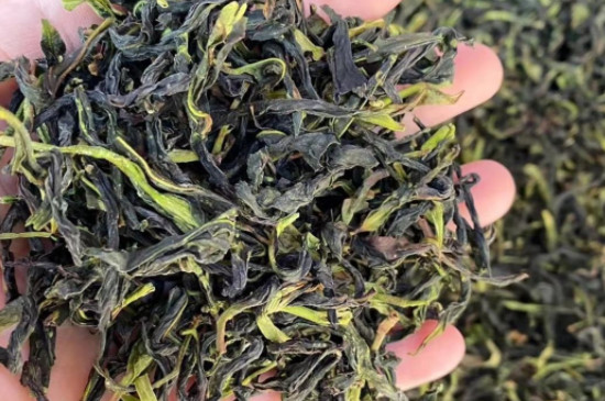 鸭屎香茶的来历 鸭屎香单丛茶简介