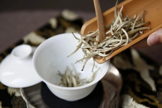 什麼是白茶?白茶有什麼特點?