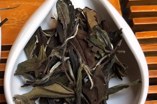 政和白茶和福鼎白茶區別