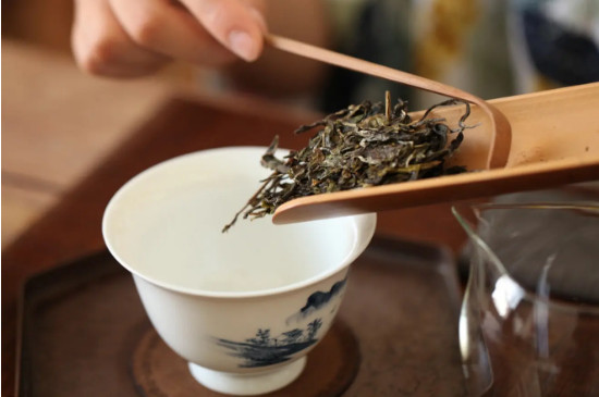 攸樂普洱茶特點和口感