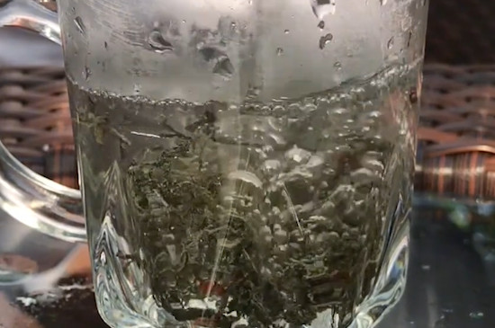 莓茶一次泡多少克