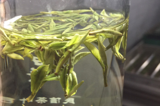 安吉白茶口感特點是什麼