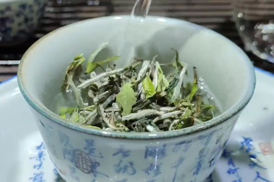 福鼎白茶的功效與作用