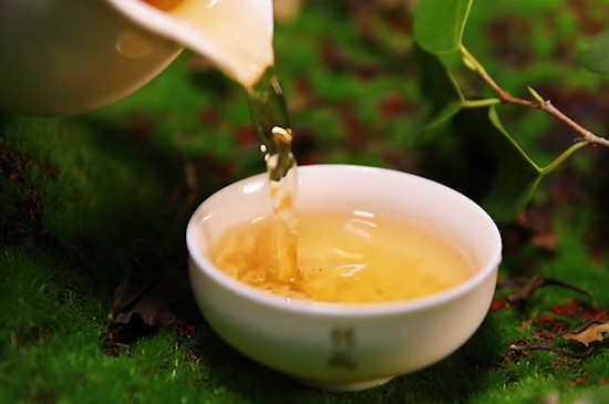 福鼎白茶分幾種 福鼎白茶有哪些品種
