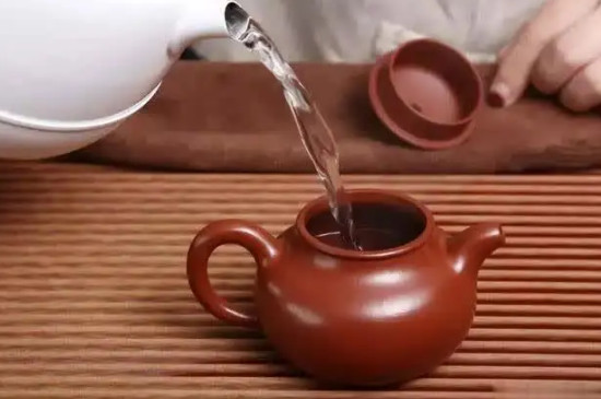 乌龙茶用什么壶泡好