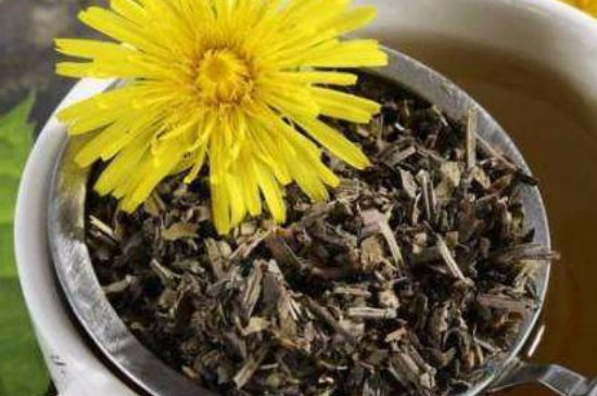 自己怎么做蒲公英花茶