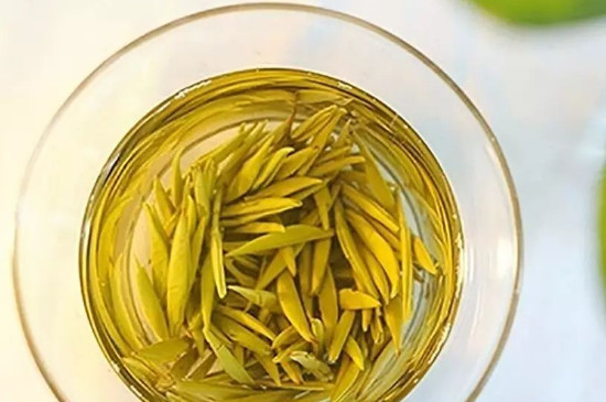 君山銀針屬於什麼茶類