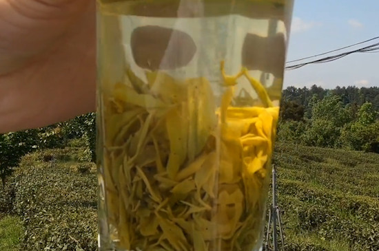 炒青绿茶有哪些