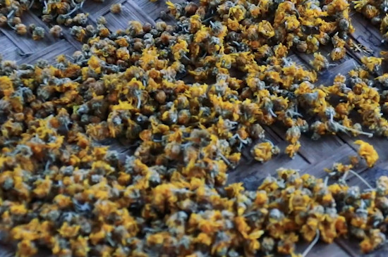 菊花茶的功效與作用