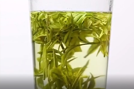 白茶和綠茶的區別