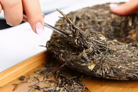 南糯拔瑪古樹茶的特點