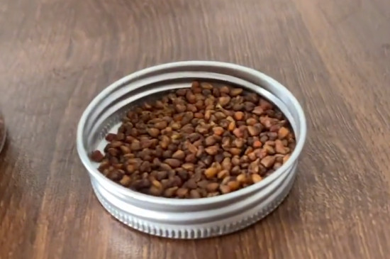 黑苦蕎茶的禁忌