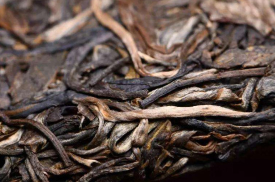 二十年的普洱茶還能喝嗎