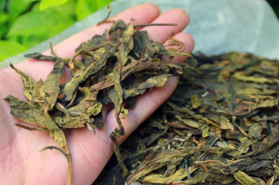 长期喝普洱茶好吗 长期喝普洱茶有什么好处和坏处