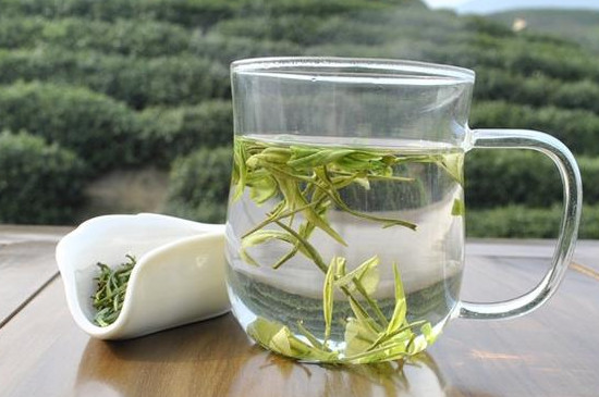 安吉白茶怎么泡