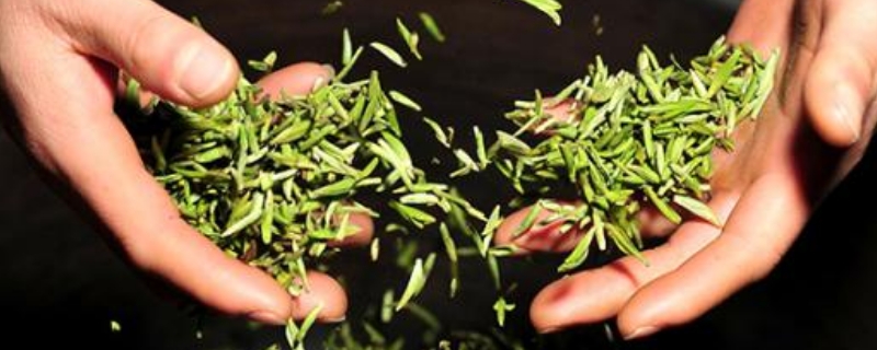 牛抵茶过期了还能喝吗